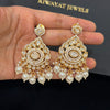 Pearl Tassel Kundan Earrings